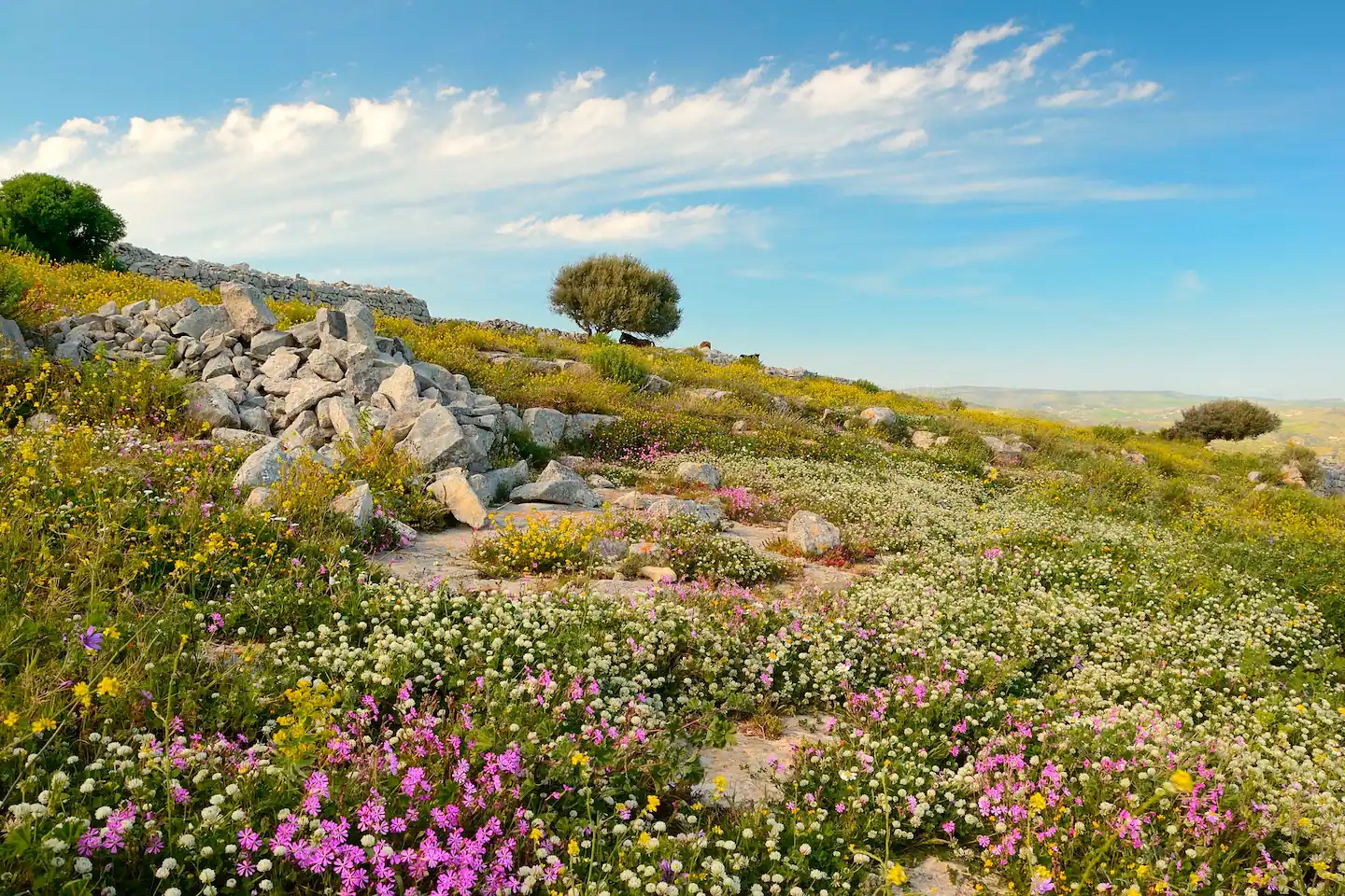 Villa Dolce Valle Sicile Ragusa nature réserve naturelle